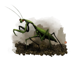 102_resize 102_resize